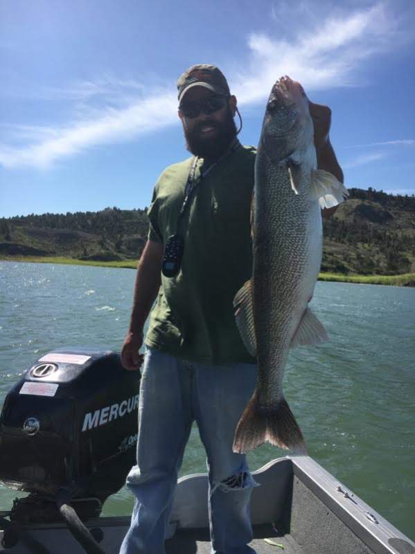 walleye