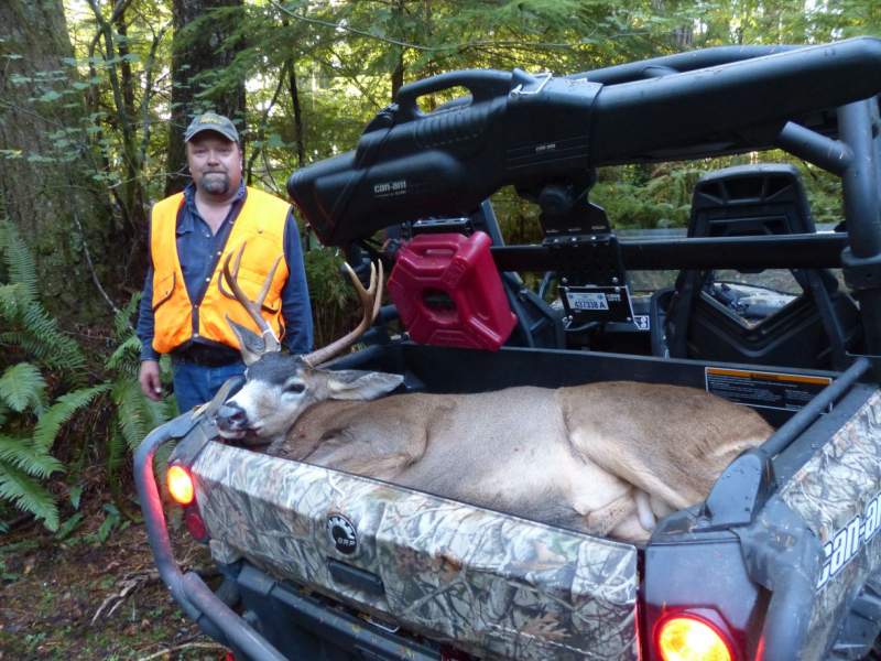 Washington Blacktail Deer 2014