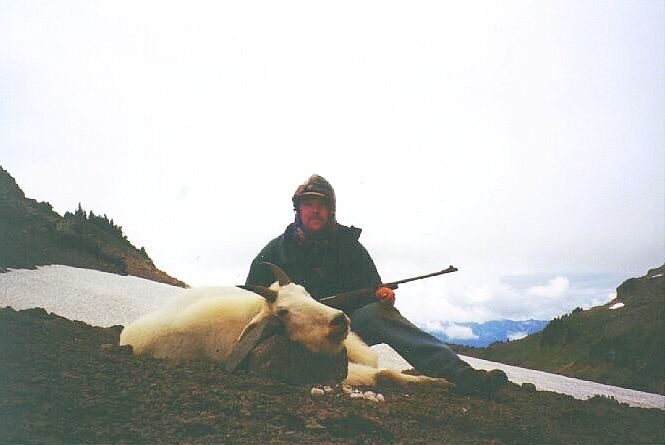 Washington Mountain Goat
