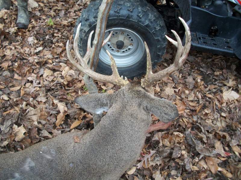 WES 2011 BUCK 006