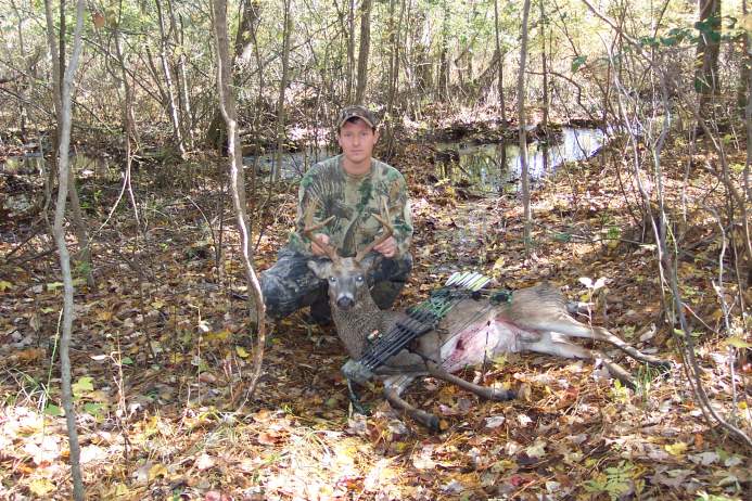 Whitetail Deer - Maryland