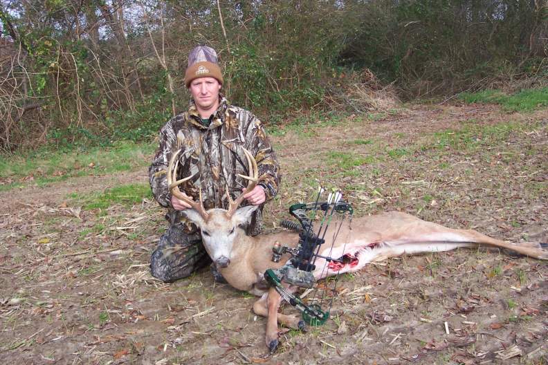 Whitetail Deer - Maryland