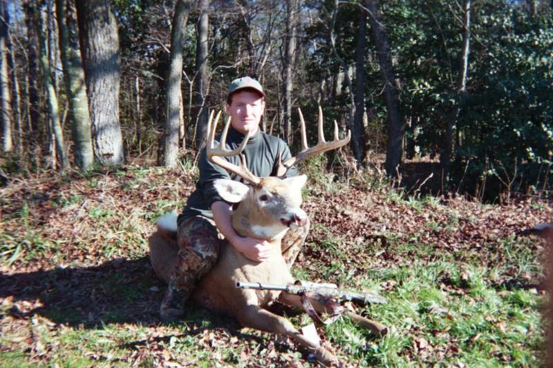 Whitetail Deer - maryland