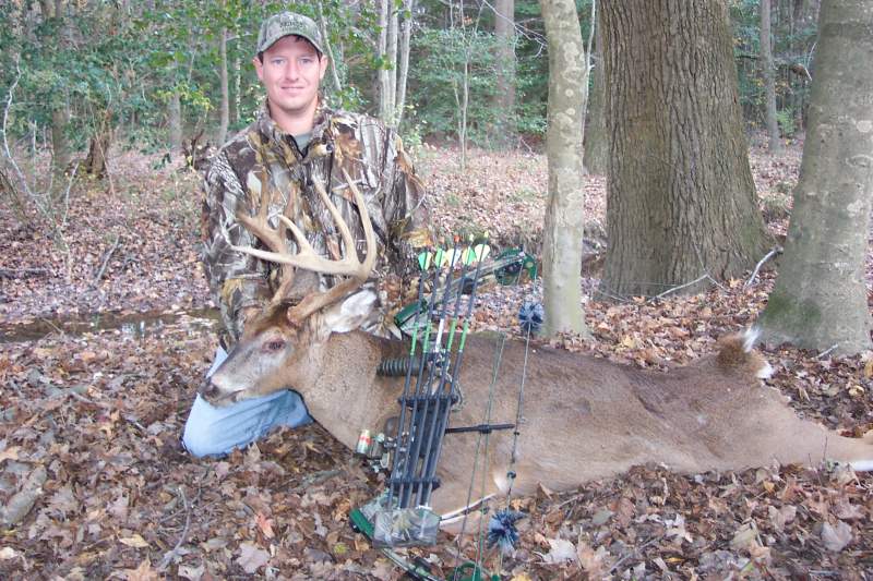 Whitetail Deer - Maryland