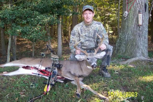 Whitetail Deer - Maryland