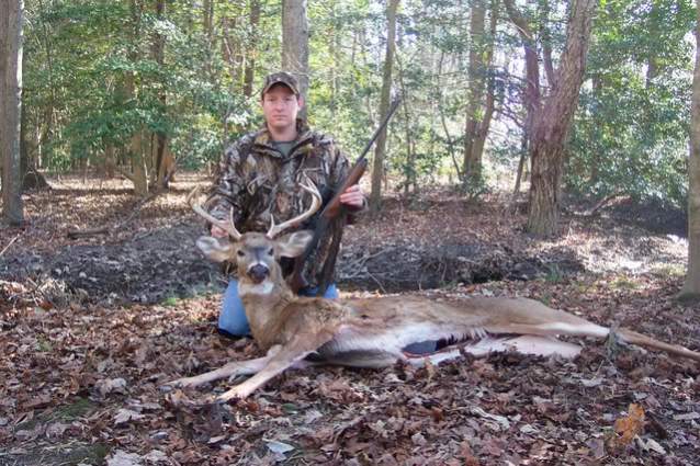 Whitetail Deer - Maryland