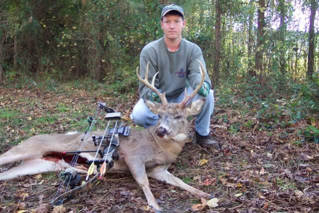 Whitetail Deer - Maryland