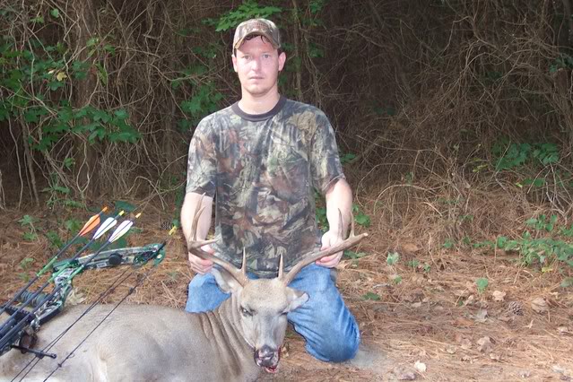 Whitetail Deer - Maryland