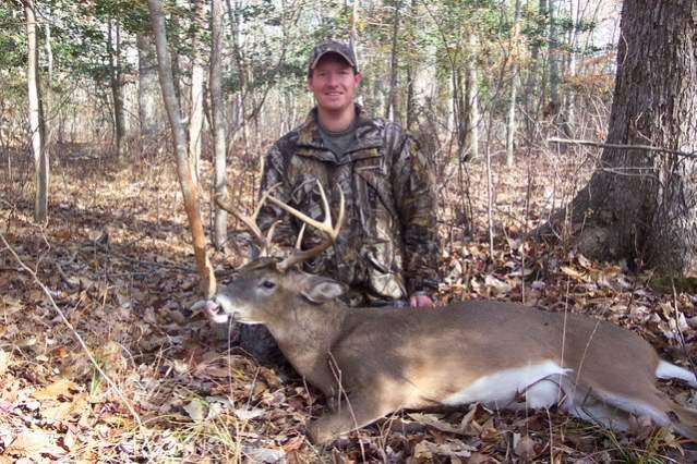 Whitetail Deer - Maryland