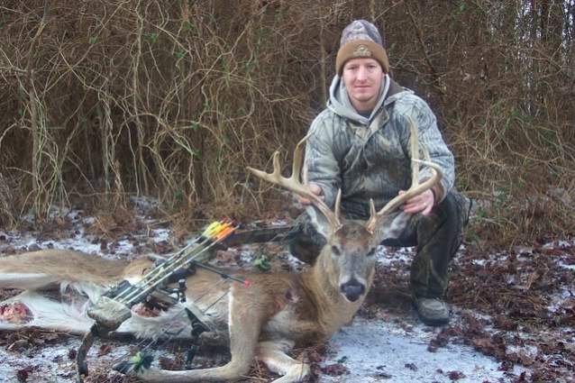 Whitetail Deer - Maryland