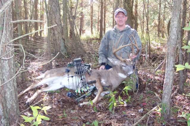 Whitetail Deer - Maryland