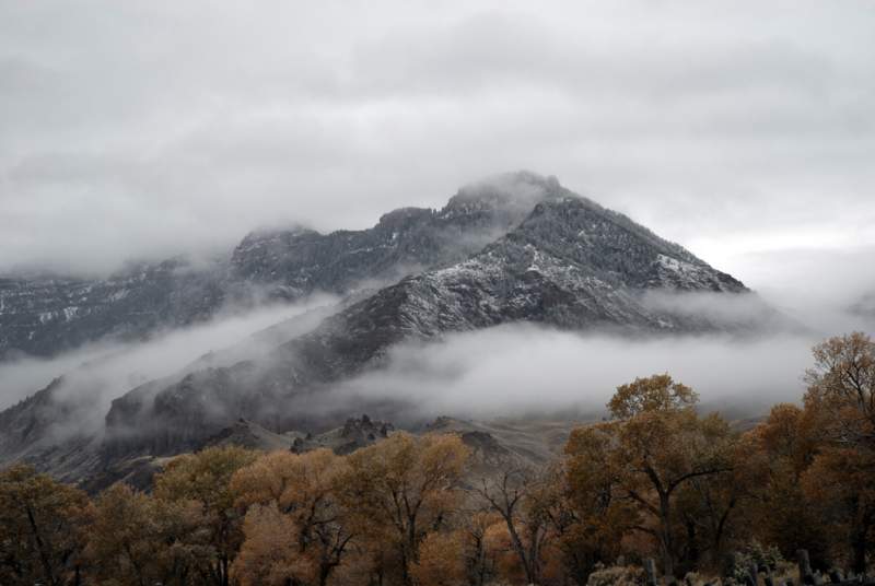 Wyoming winter