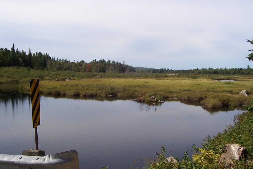 100_2051.jpg