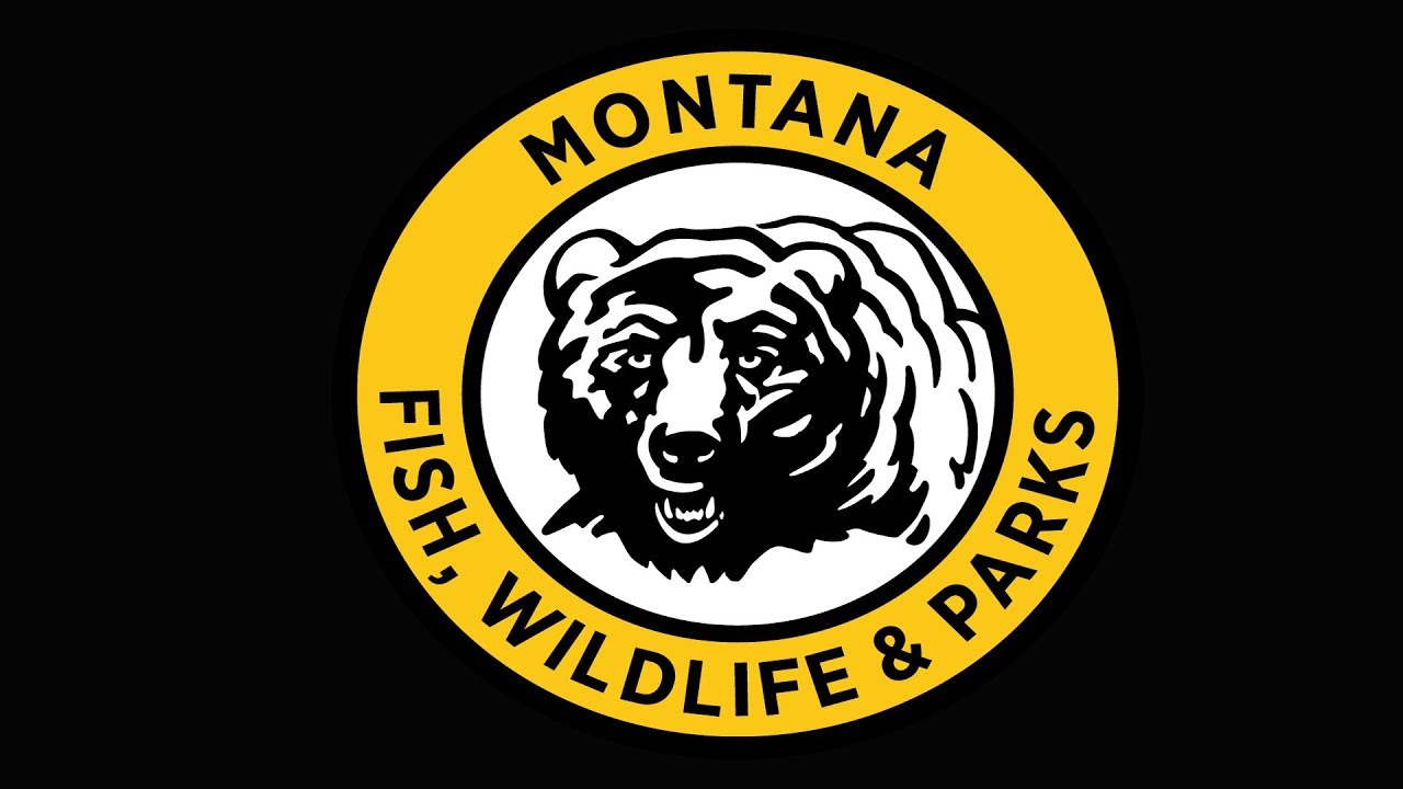 dailymontanan.com