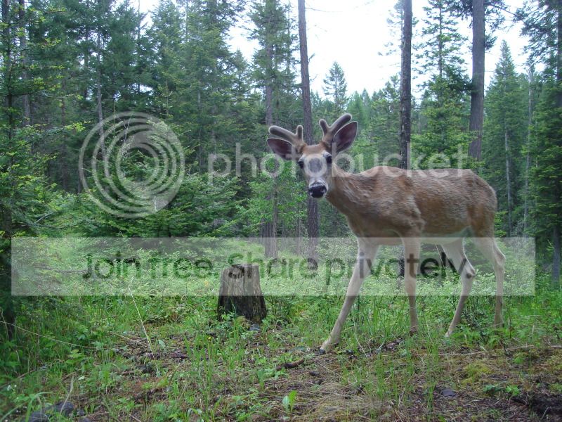 download039.jpg