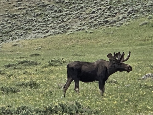20260716_142400.jpg