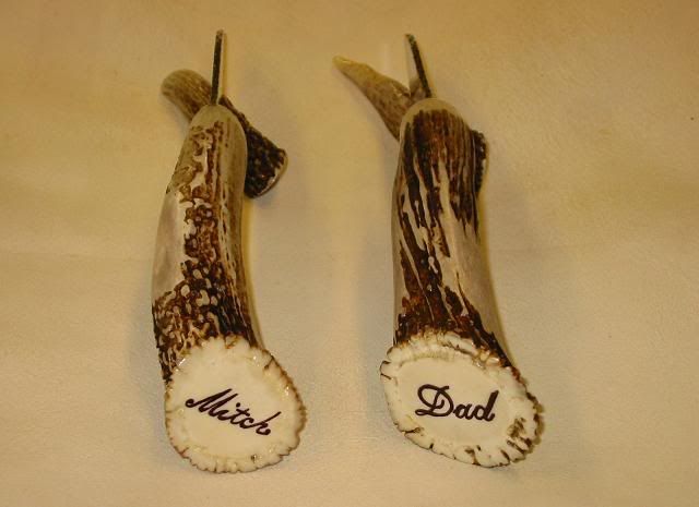 rod1_horn94.jpg