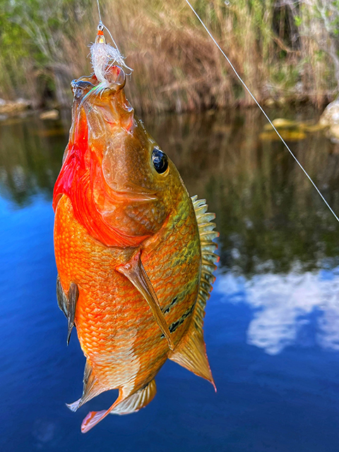 Florida-3-18-22-A.jpg