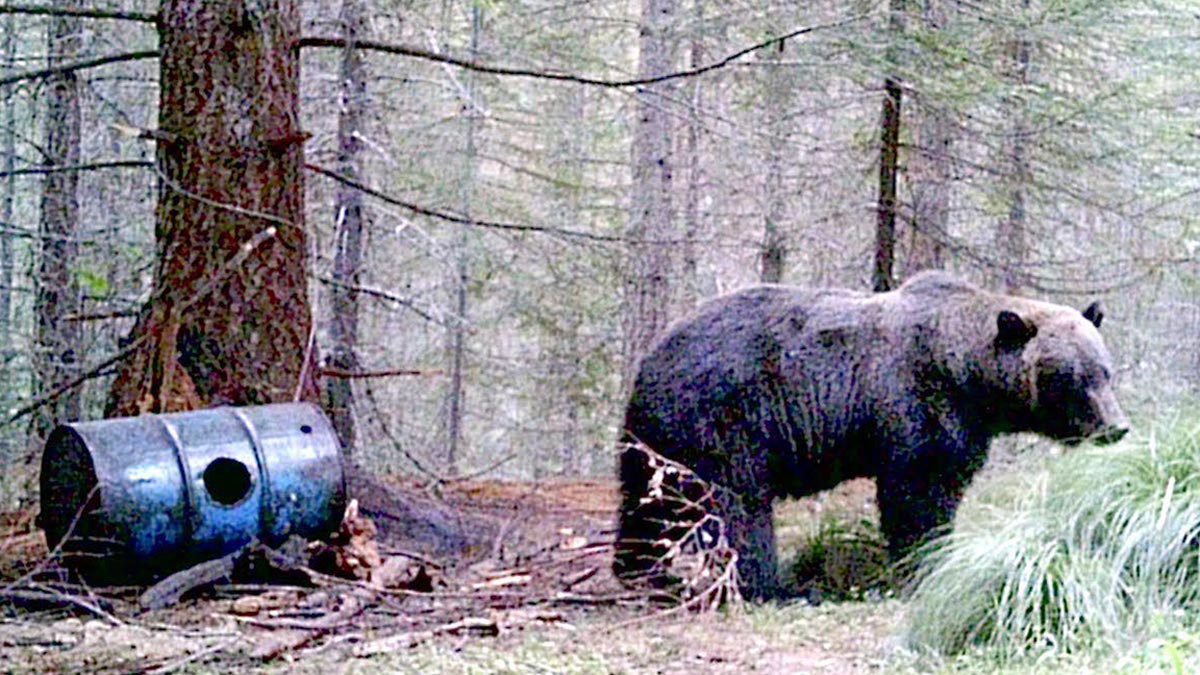 www.rmef.org
