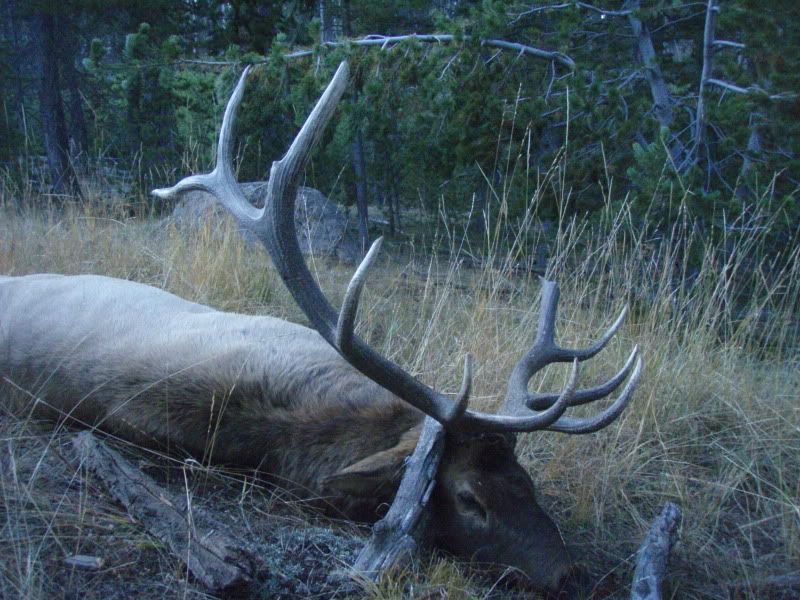 PA012327.jpg