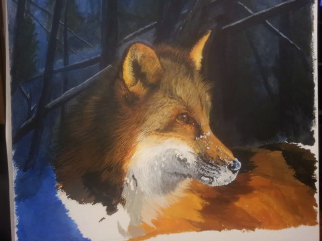 20130210_180206.jpg