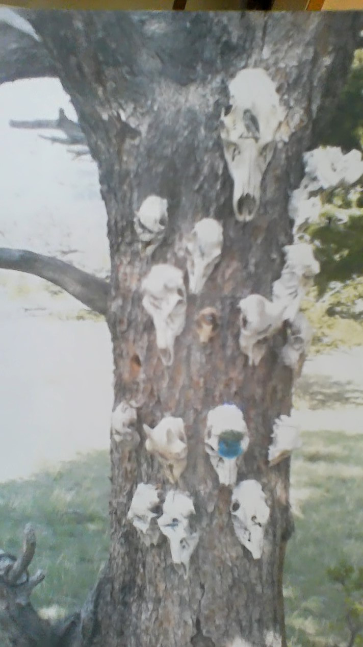 head-tree.jpg