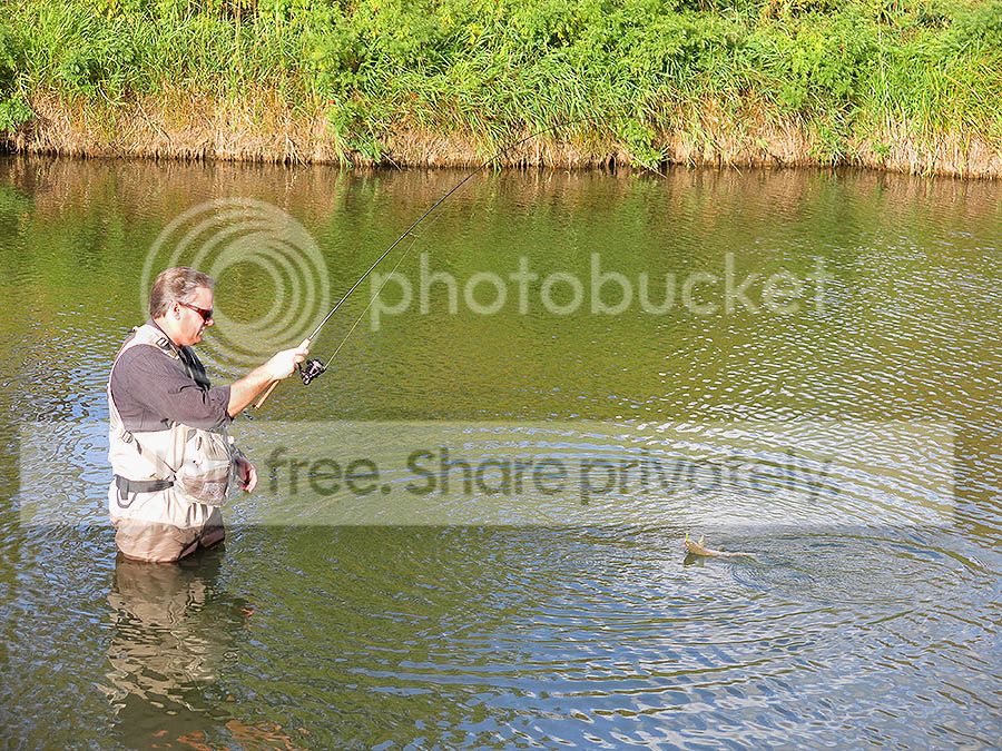 Troy%20Adams%209-23-16H_zpsr17uioh8.jpg~original