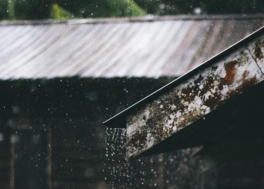 extension.colostate.edu