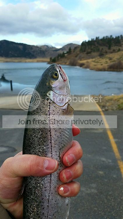Troy%20Adams%20Holter%202-19-16_zps0hrgwumq.jpg