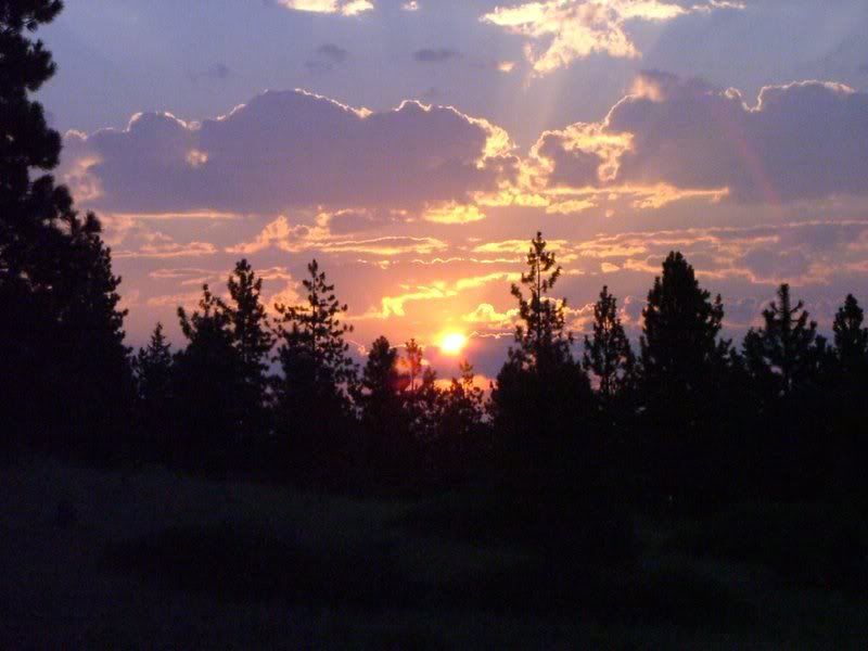 2006_0901Image0062.jpg