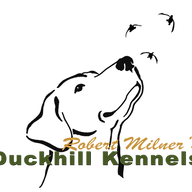 www.duckhillkennels.com