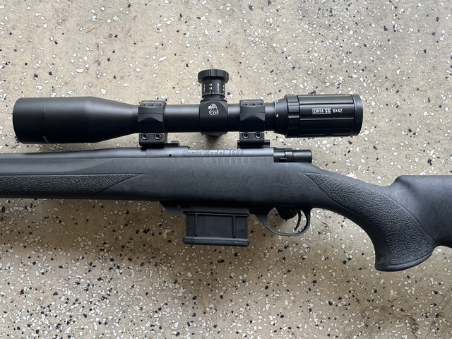 [Linked Image from i.ibb.co]