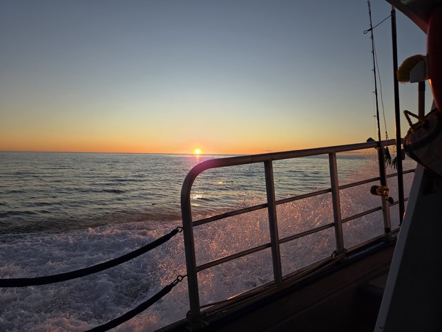 20260829_071025.jpg