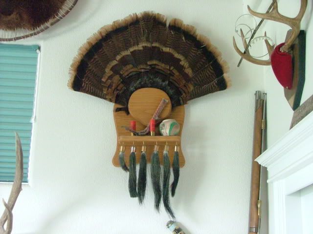 2005_0221Image0107.jpg