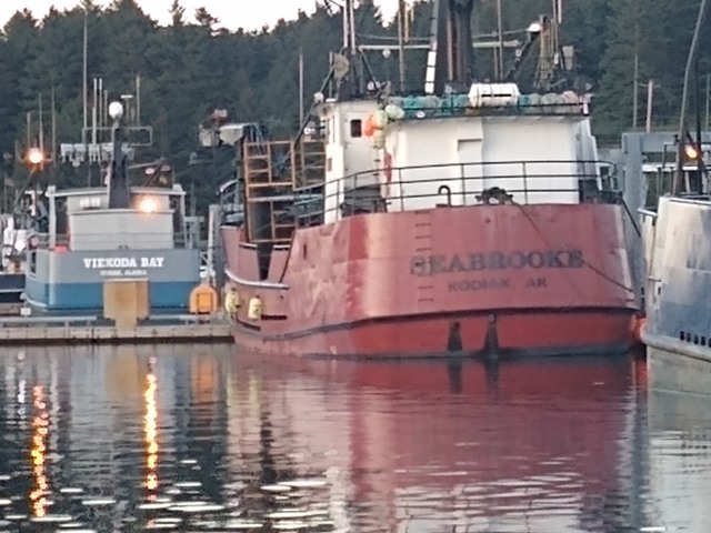 IMG_20200825_204431186.jpg
