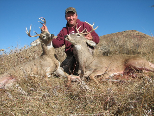 2010deer%20005.jpg