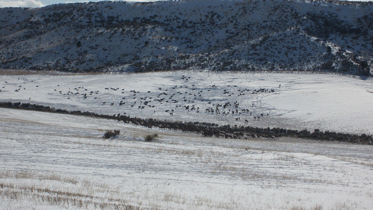 www.rmef.org