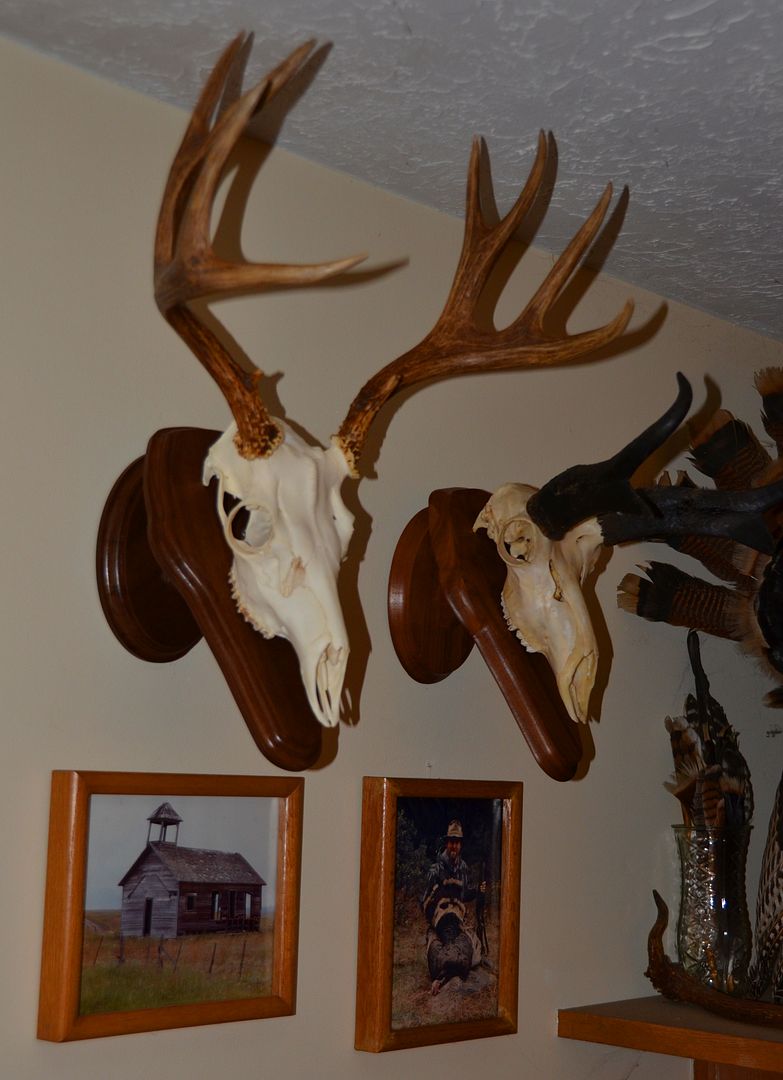 DSC_4658_zps2e2b9c4e.jpg