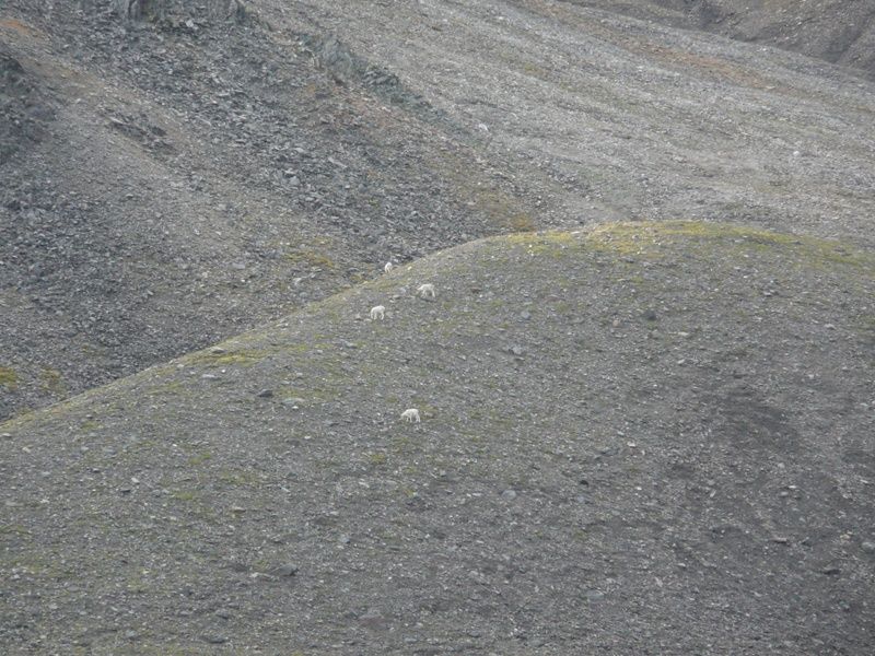 P1050053.jpg