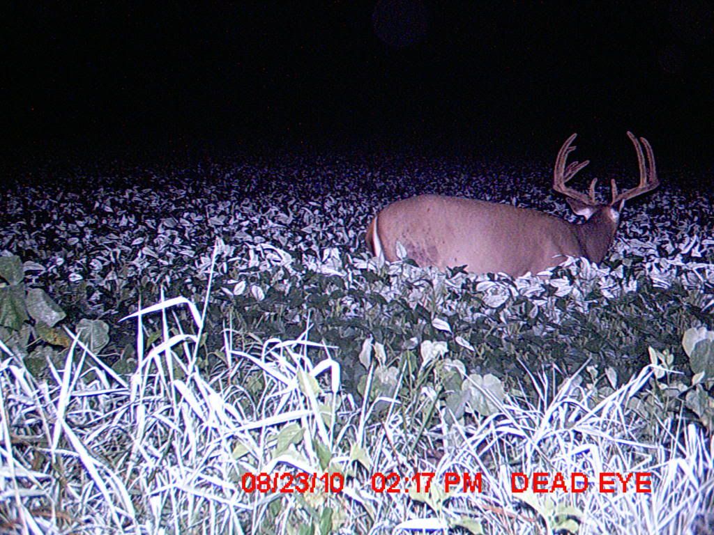 August10montourbuck.jpg