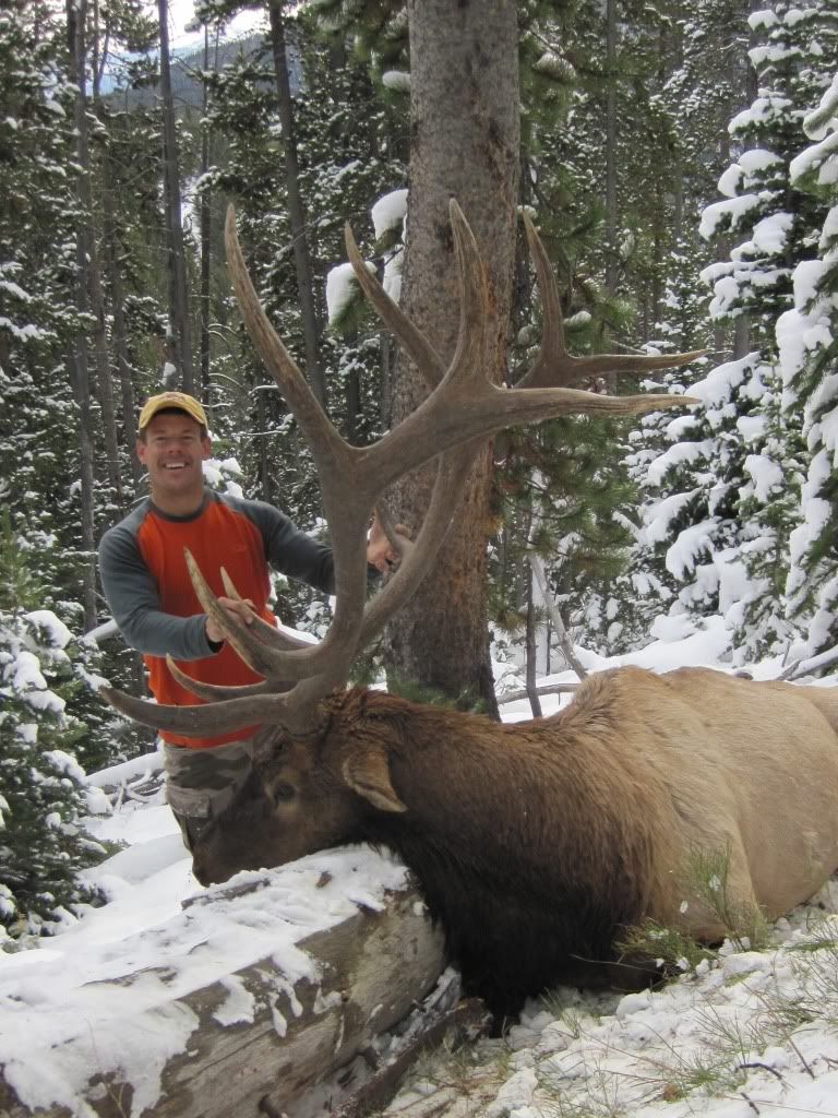 MT2010Elk.jpg