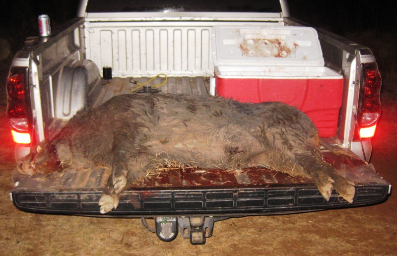 tailgate1_5_7_11.jpg