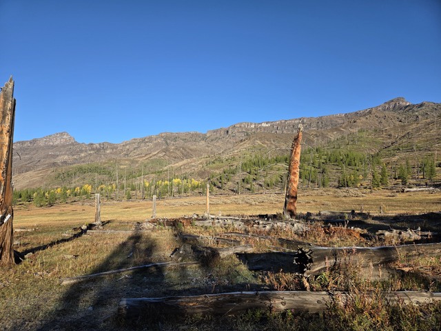 20250924_081910.jpg