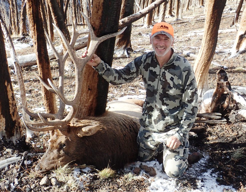 2014_Wyoming_Elk.jpg