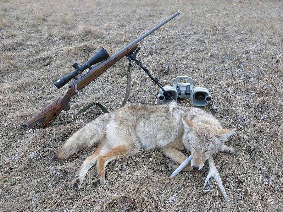 TroyCoyote1-28-15A_zpseca54ffd.jpg