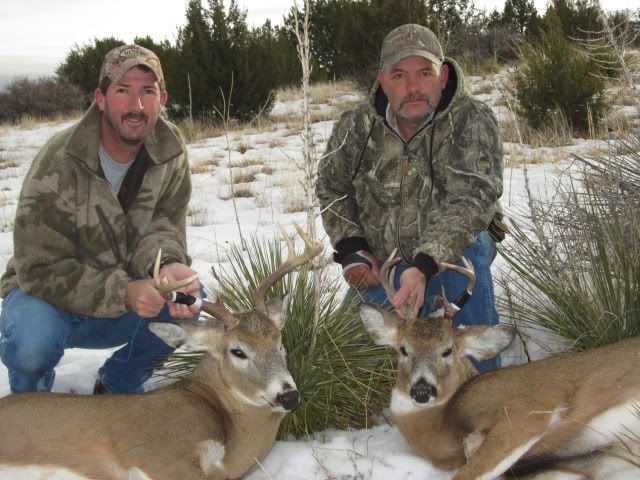 NMWhitetail125.jpg