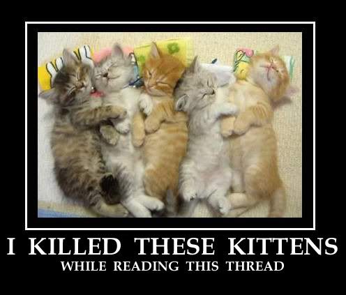 zzikilledthesekittensjk4.jpg