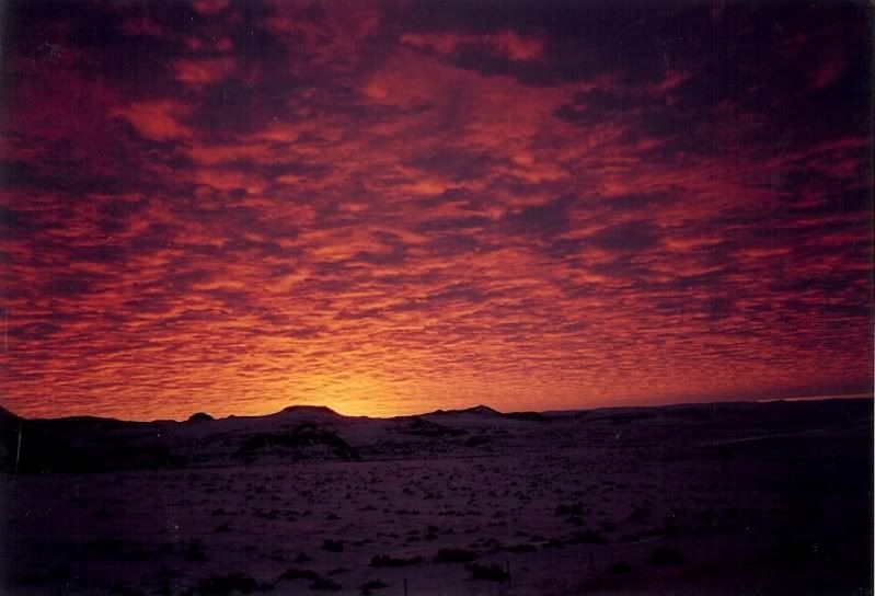 scan0030-1.jpg