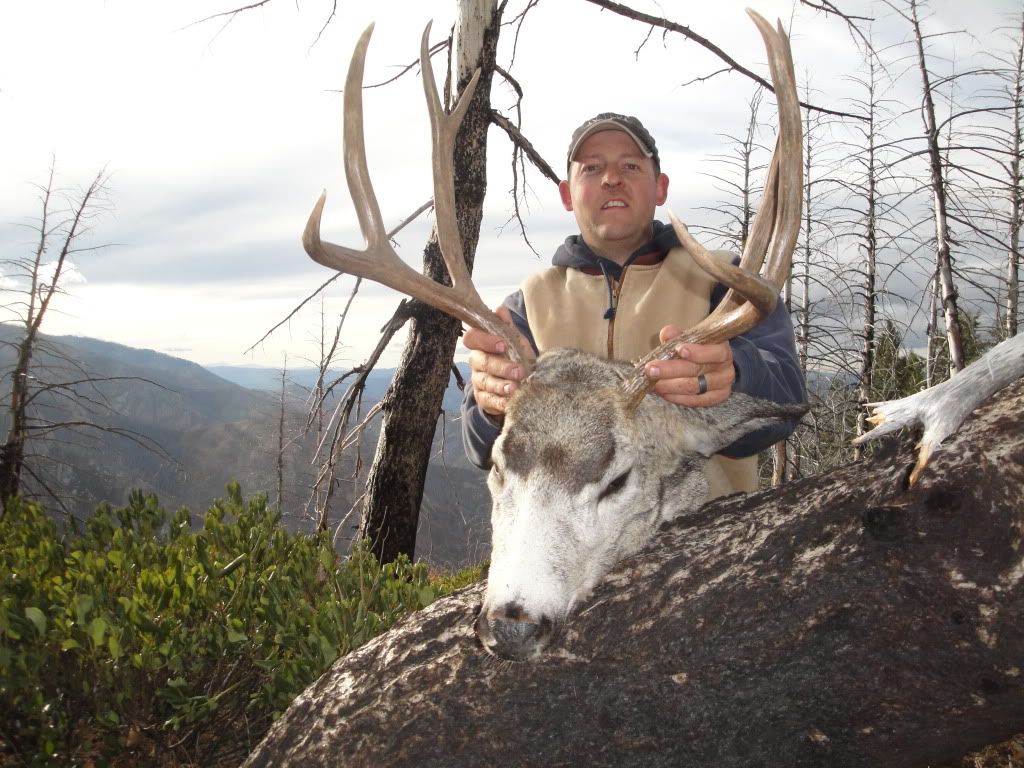 Idaho2nddeer011.jpg