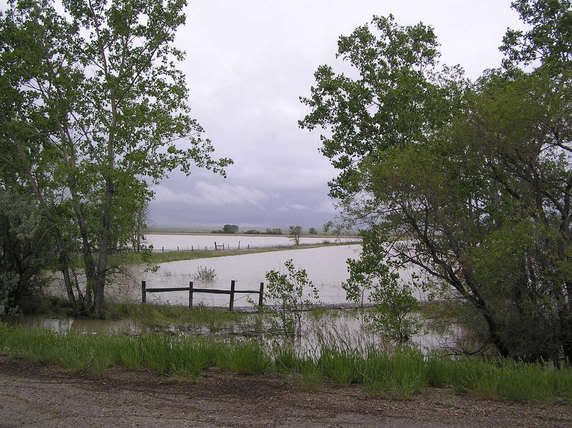 flooding2_0001.jpg